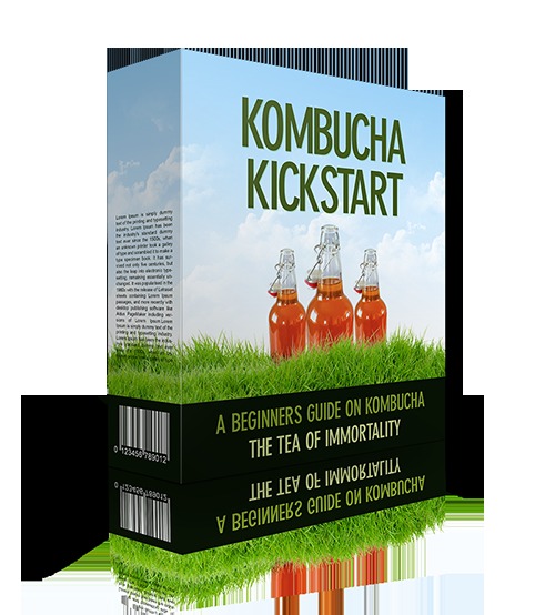 Product picture Kombucha Kickstart 